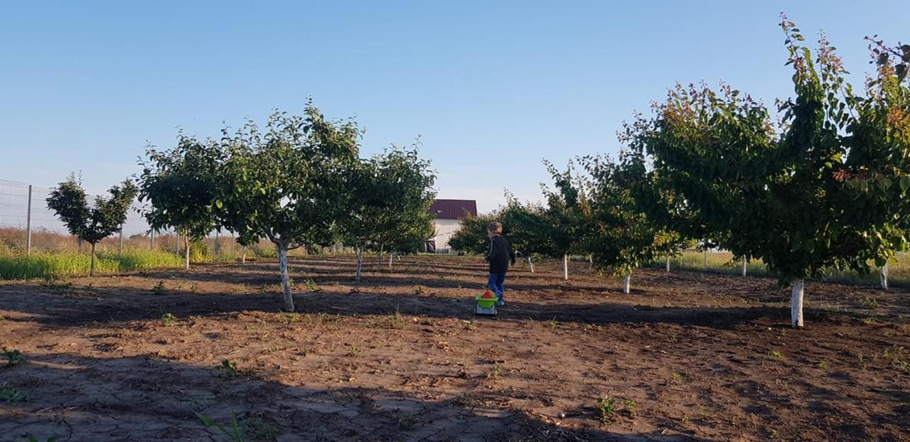 La Matraguna Tuzla Bagian luar foto
